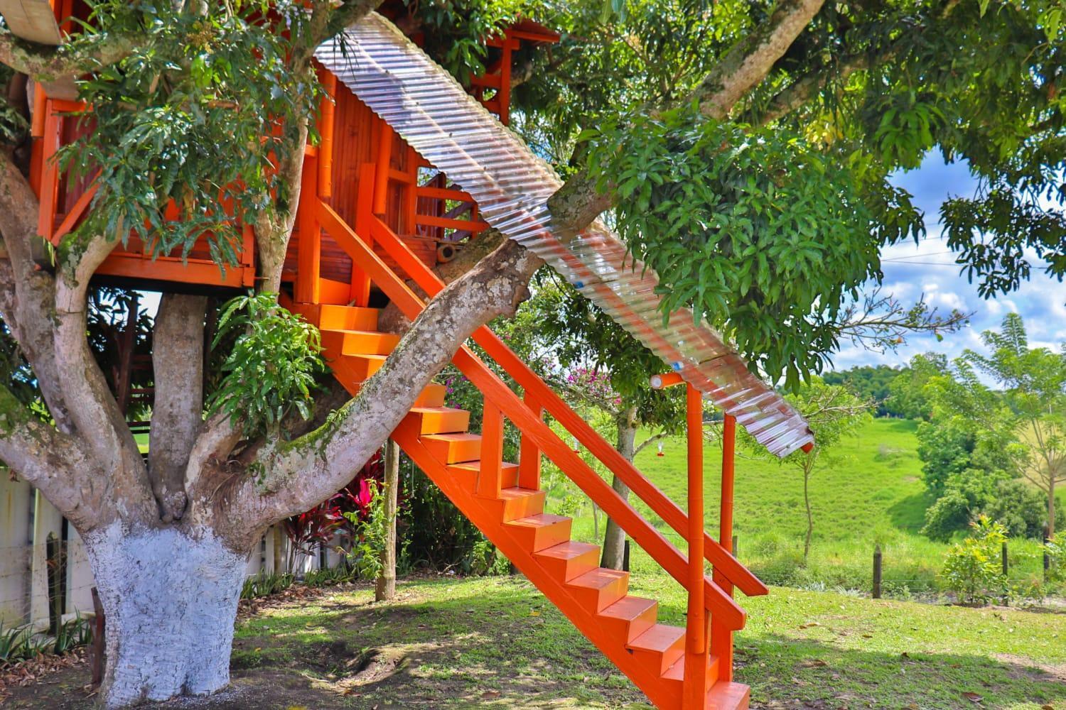 Finca Turistica Los Alpes Quimbaya Exterior foto